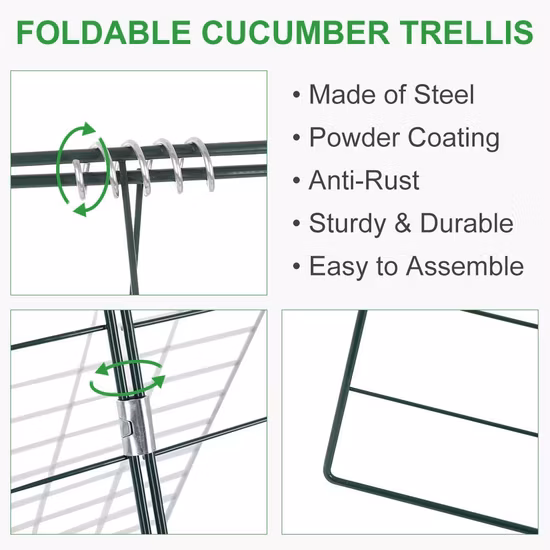 Panneaux de grillage enduits de poudre de treillis de mur en métal de jardin pour l'escalade de concombre